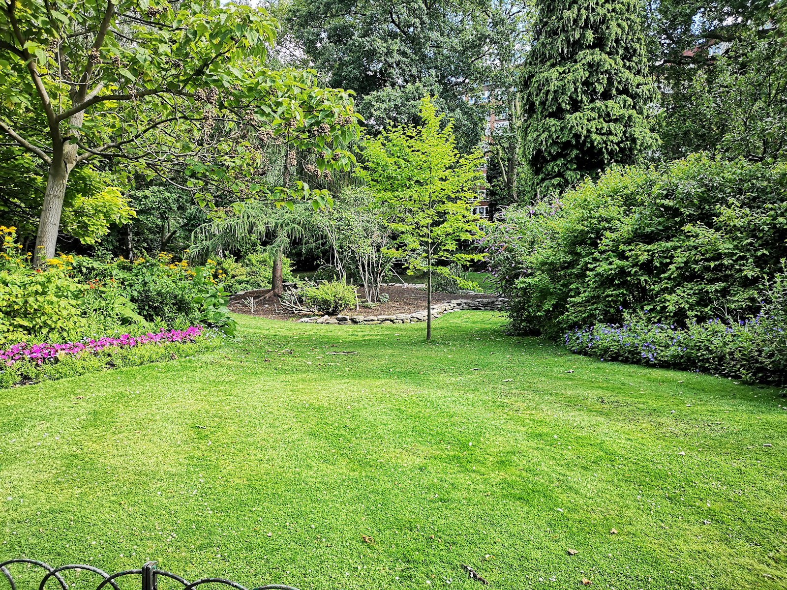Lush green lawn in Milton